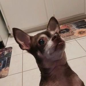 Meet your Posher, Scott